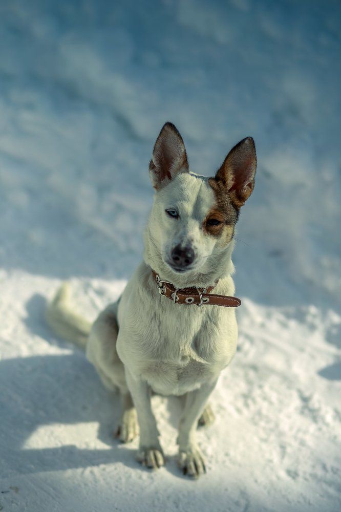 Фотография автора Оркина Ксения