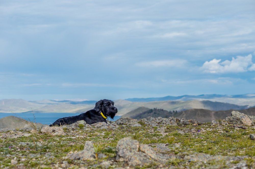 Фотография автора Оркина Ксения