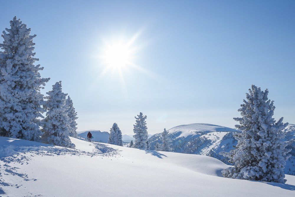 Фотография автора Оркина Ксения