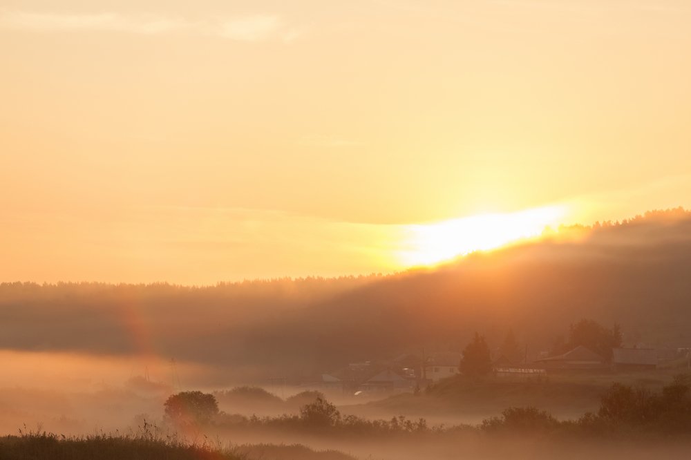 Туманное утро