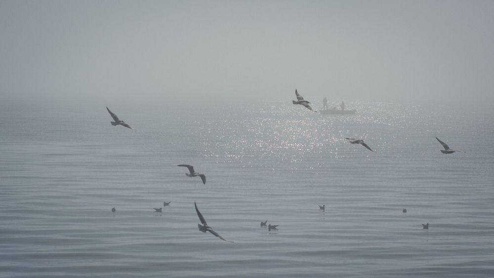 Photograph by Андрей Плужаров