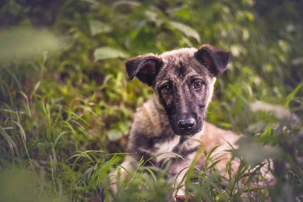 у - удивление