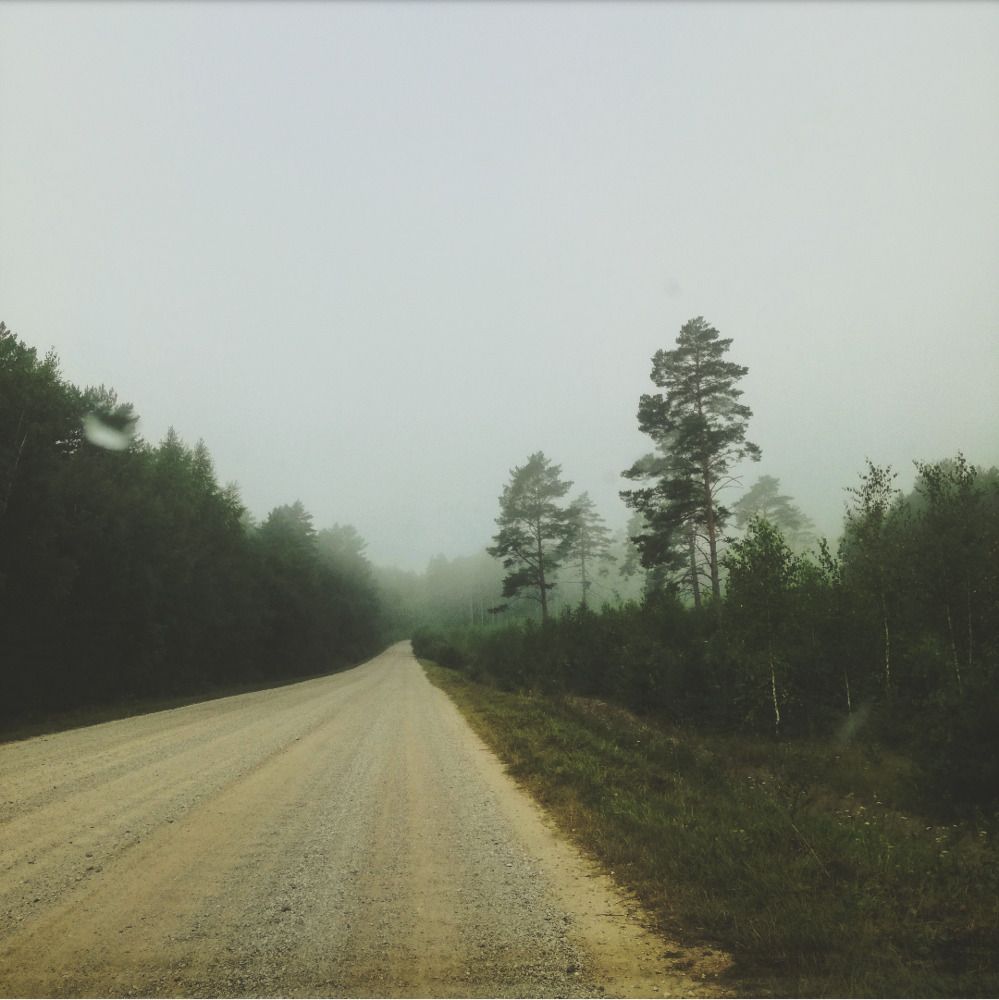 завораживает