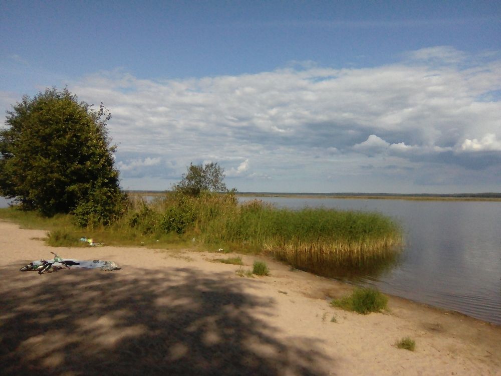 Август в Разливе