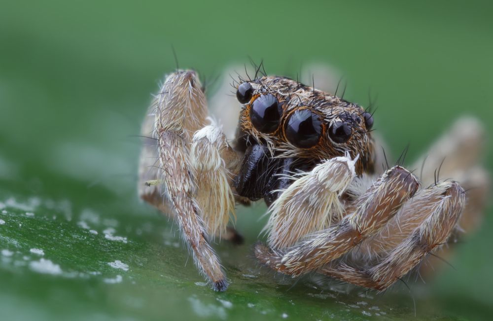 Photograph by Jevgenija Sepeliova