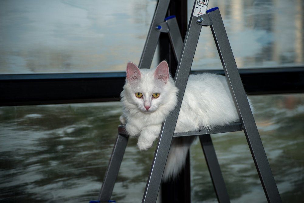 маляр-штукатур