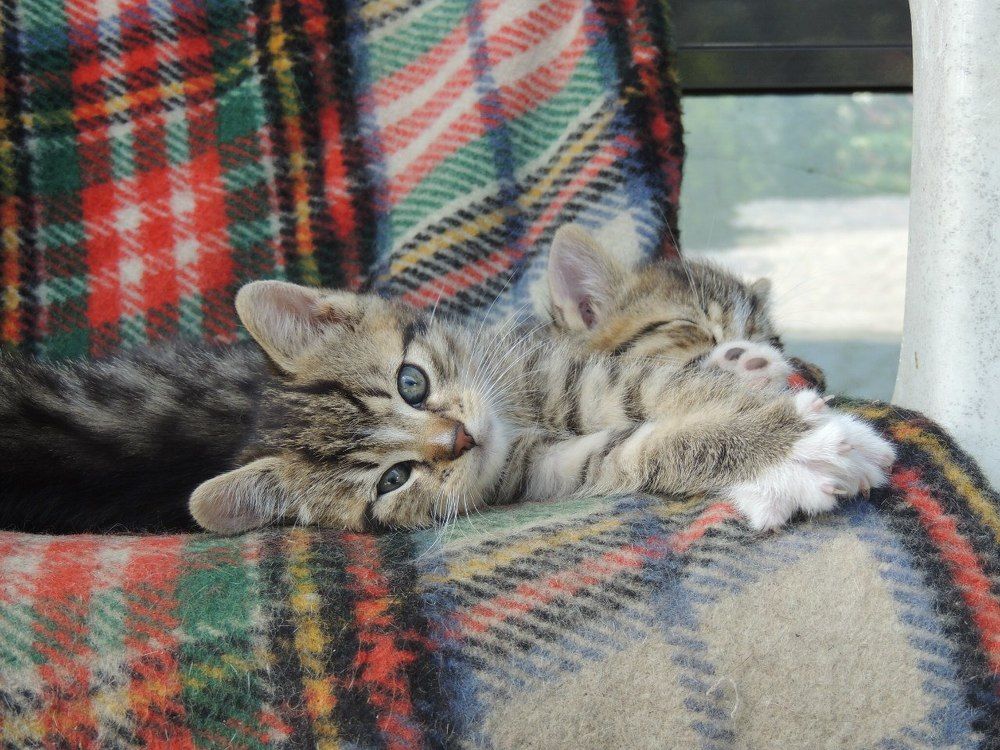 Photograph by Victoria Polivko