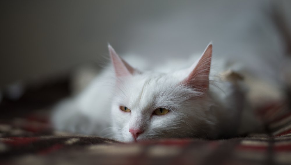 и пусть весь мир подождёт)))