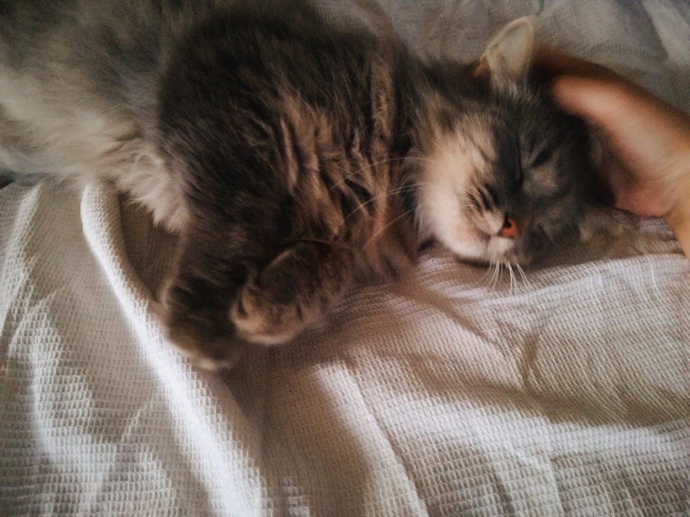 Photograph by Ёлочкина Карина