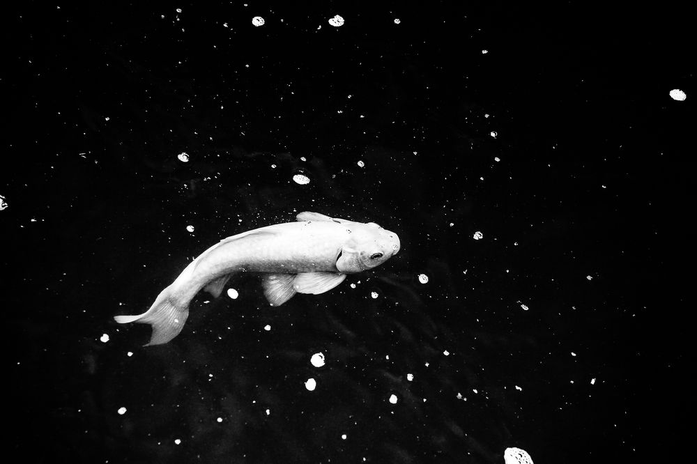 Вода, тот же космос/ Water, the same space