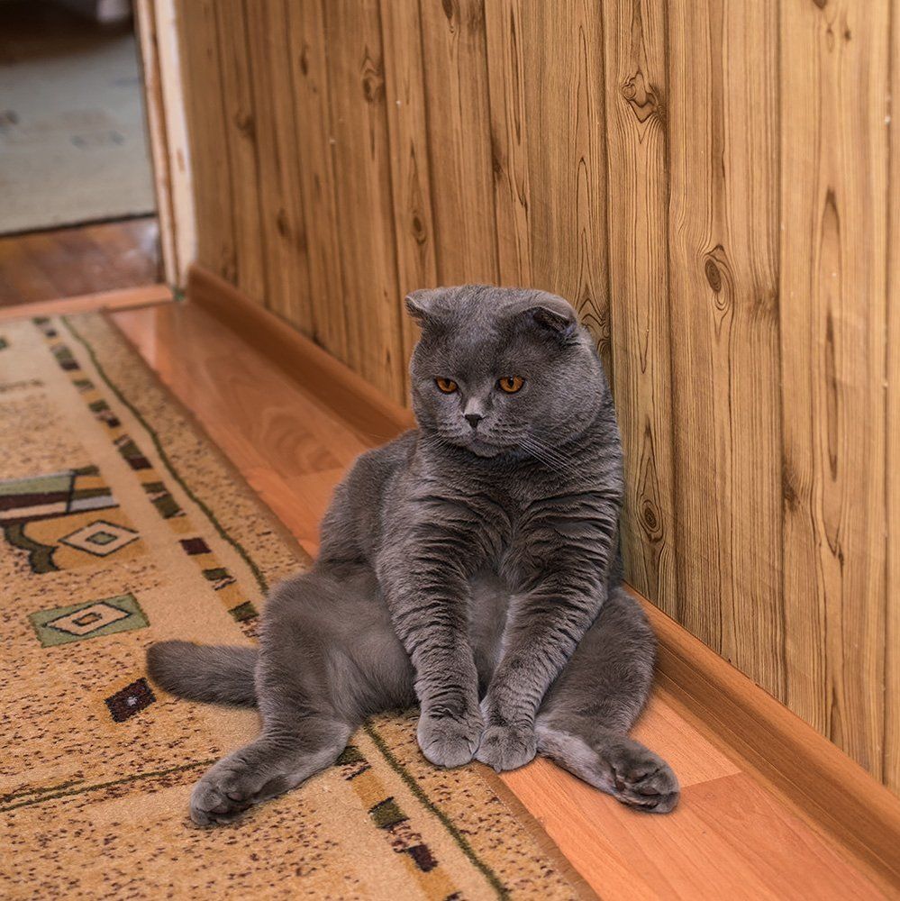 Опять опоздал ...