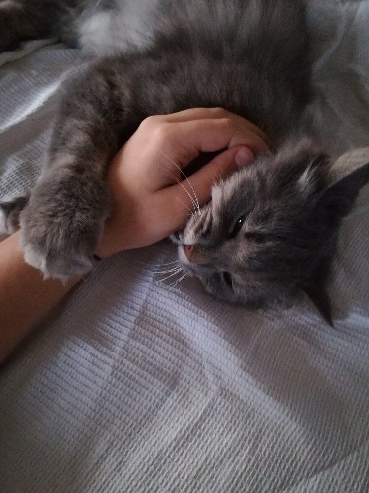 Photograph by Ёлочкина Карина