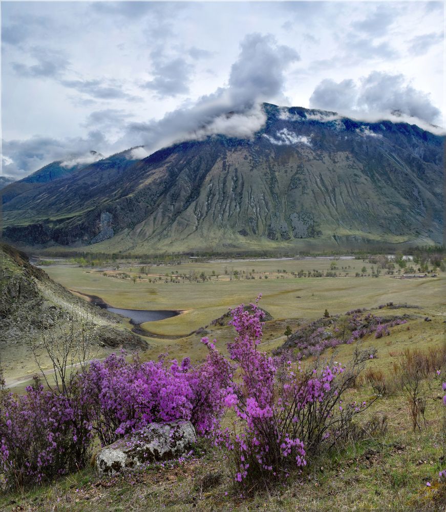 Сон в долине Чулышмана