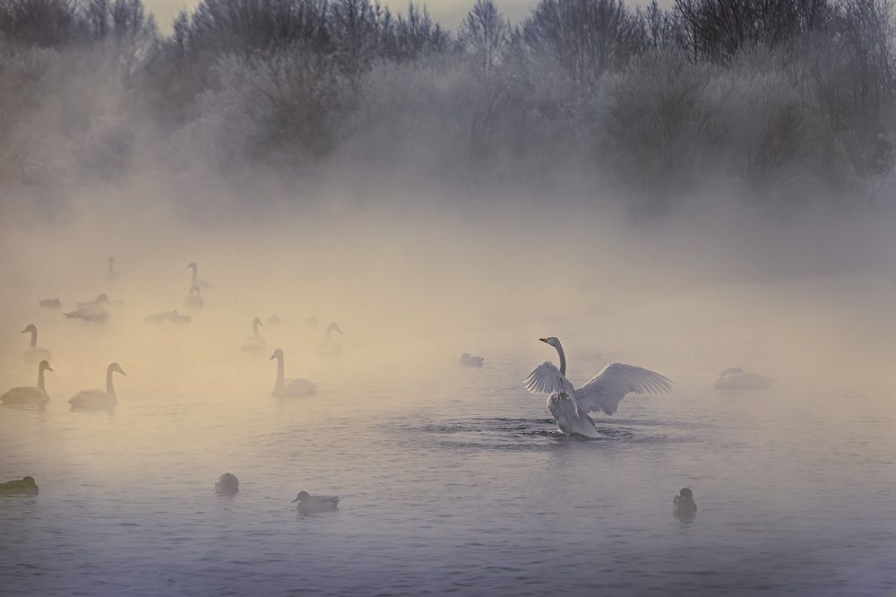 На утренней зорьке