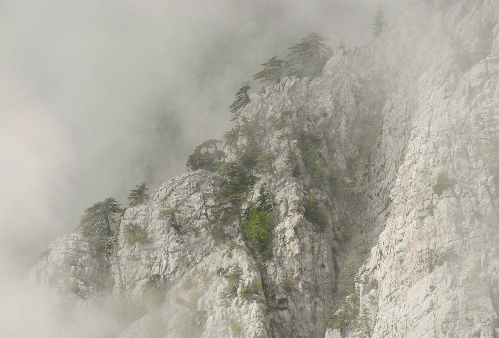 В туманах Олимпоса