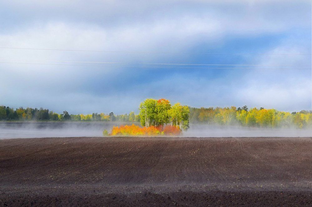 Ложился на поля туман...
