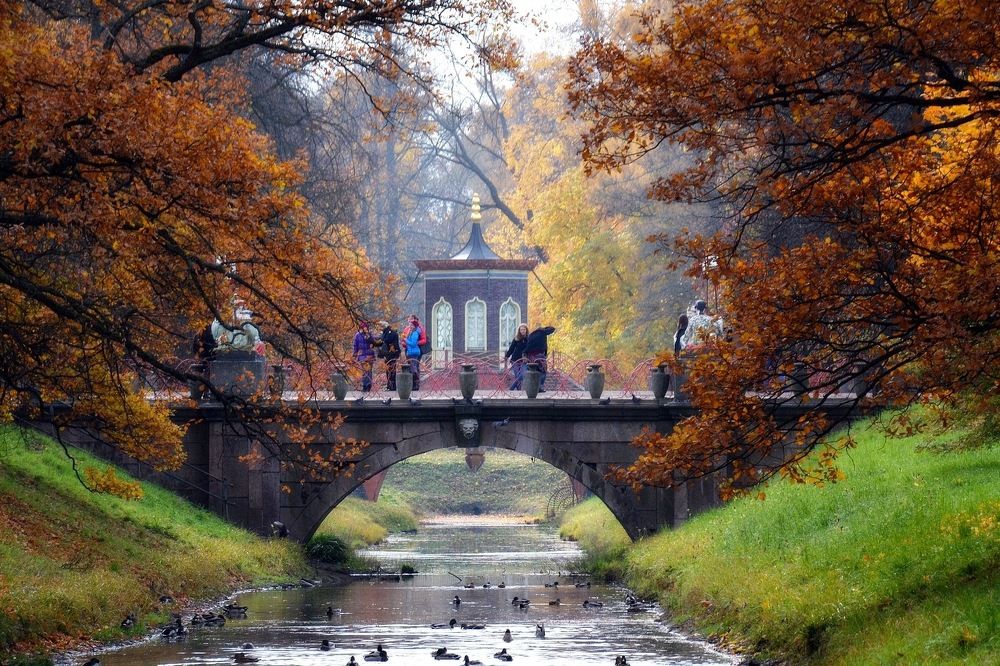 Photograph by Елена Боржковская