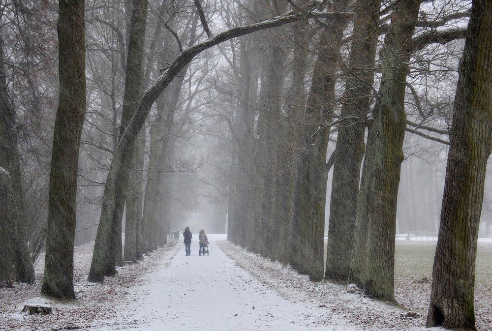 Photograph by Елена Боржковская