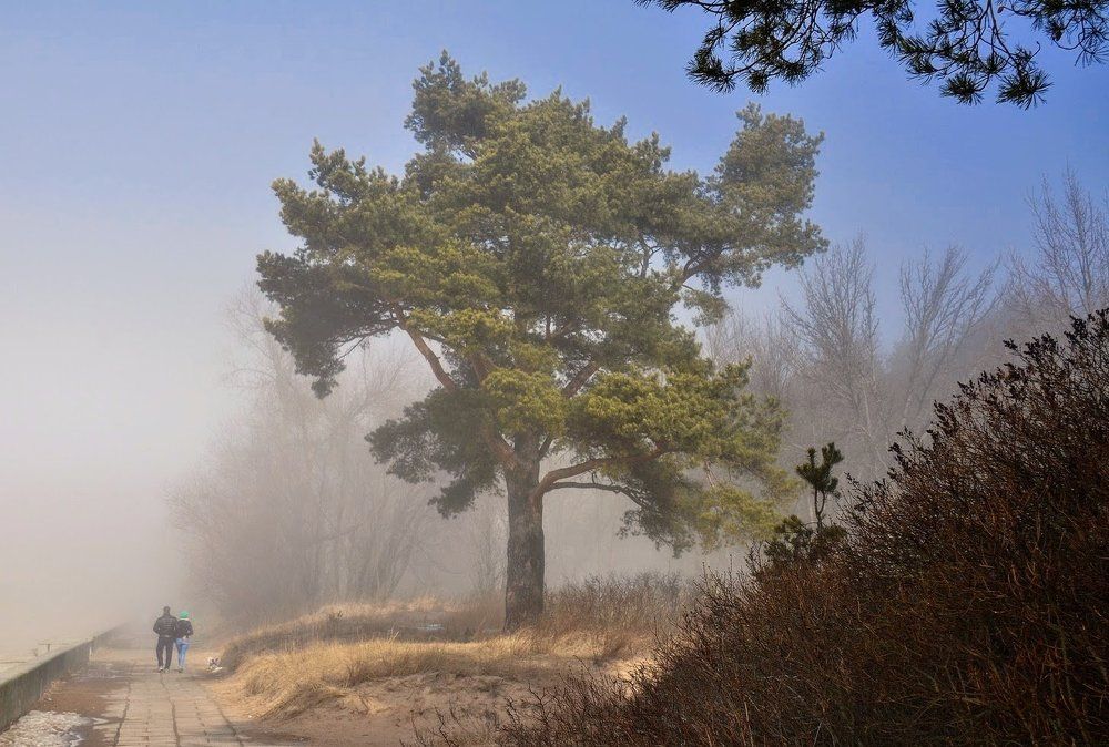 Photograph by Елена Боржковская