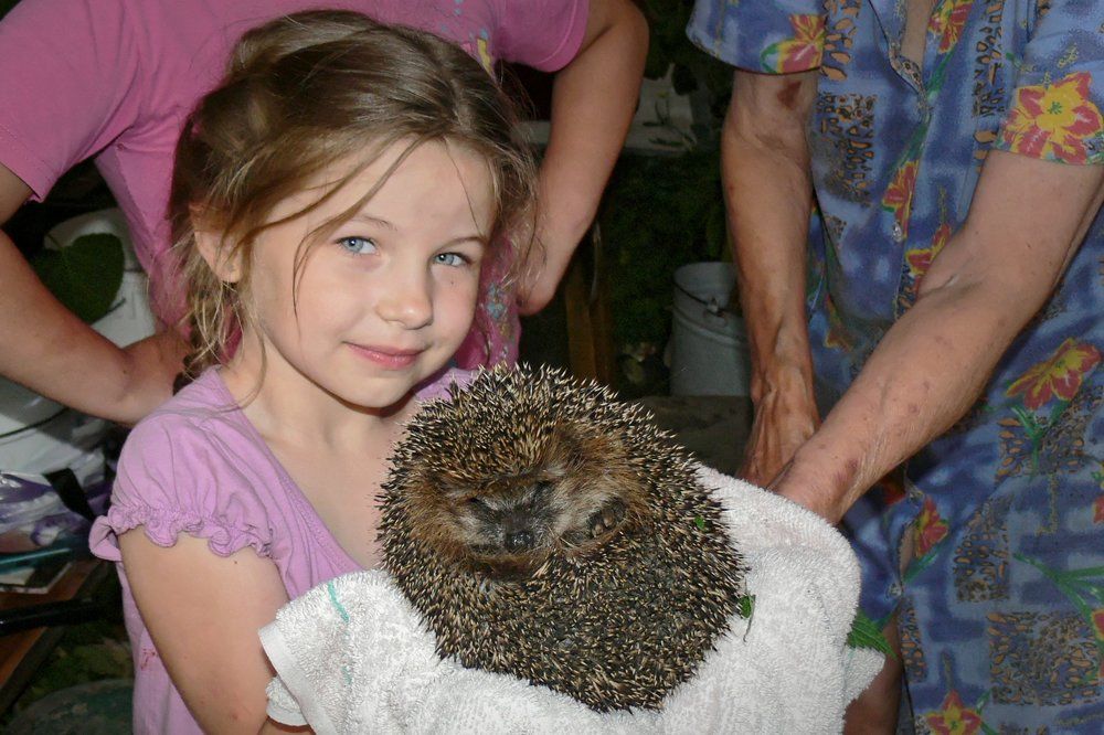 Девочка и ежик.