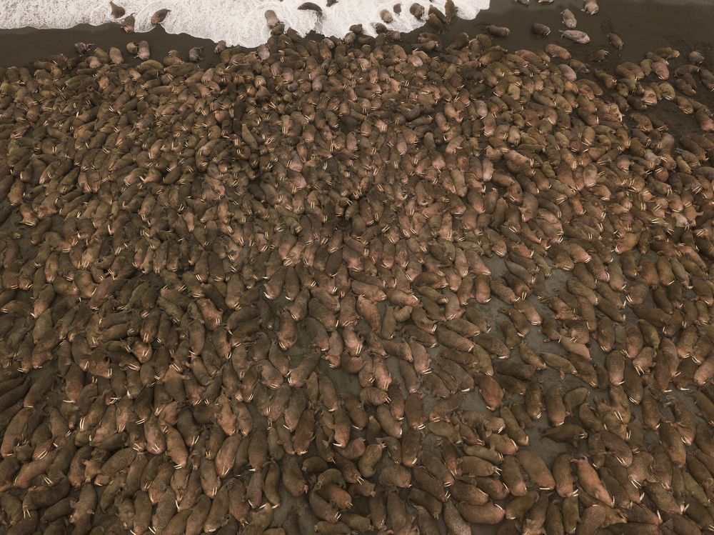 Плотность населения