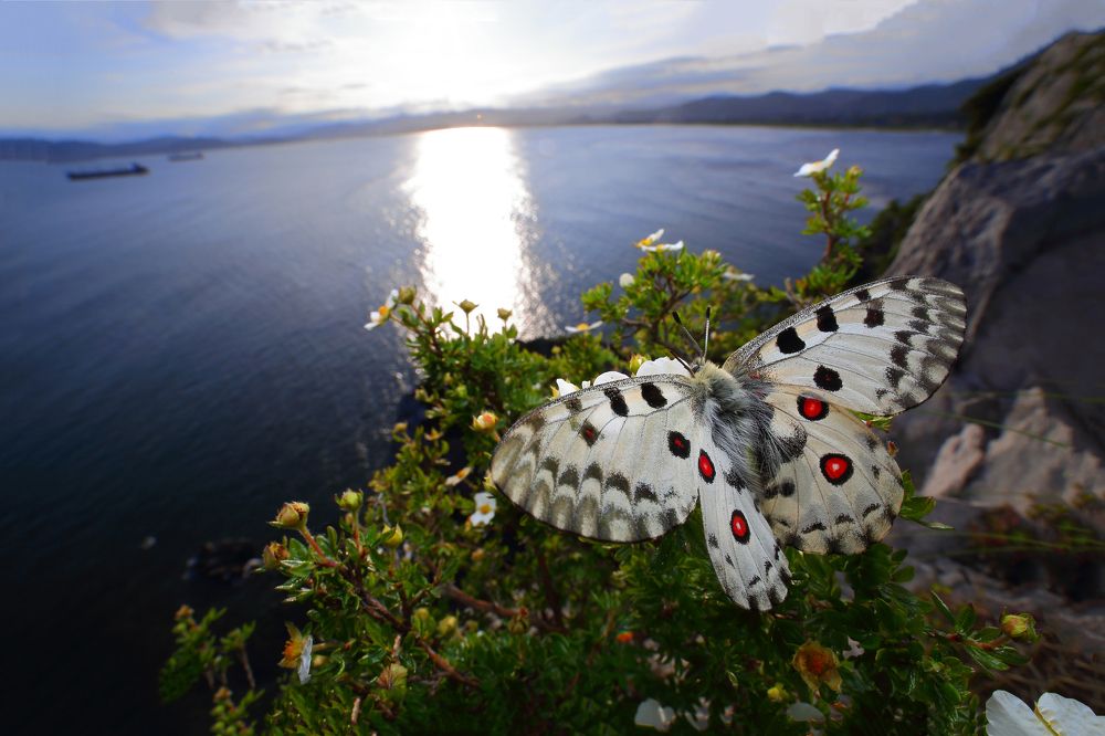 Прощание с Солнцем