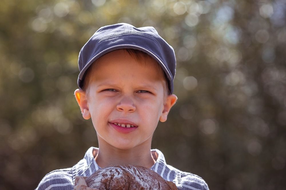 Эмиль из Леннеберге