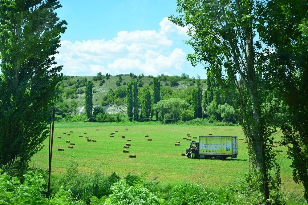 Лето - это маленькая жизнь