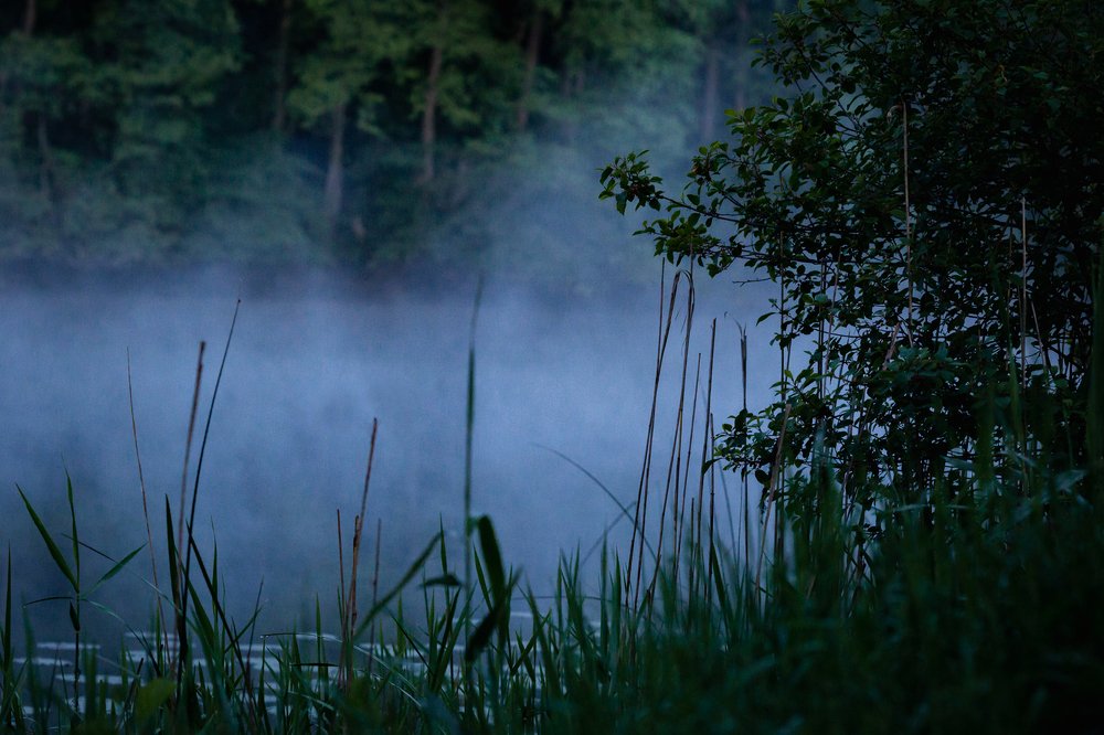 Туман над рекой