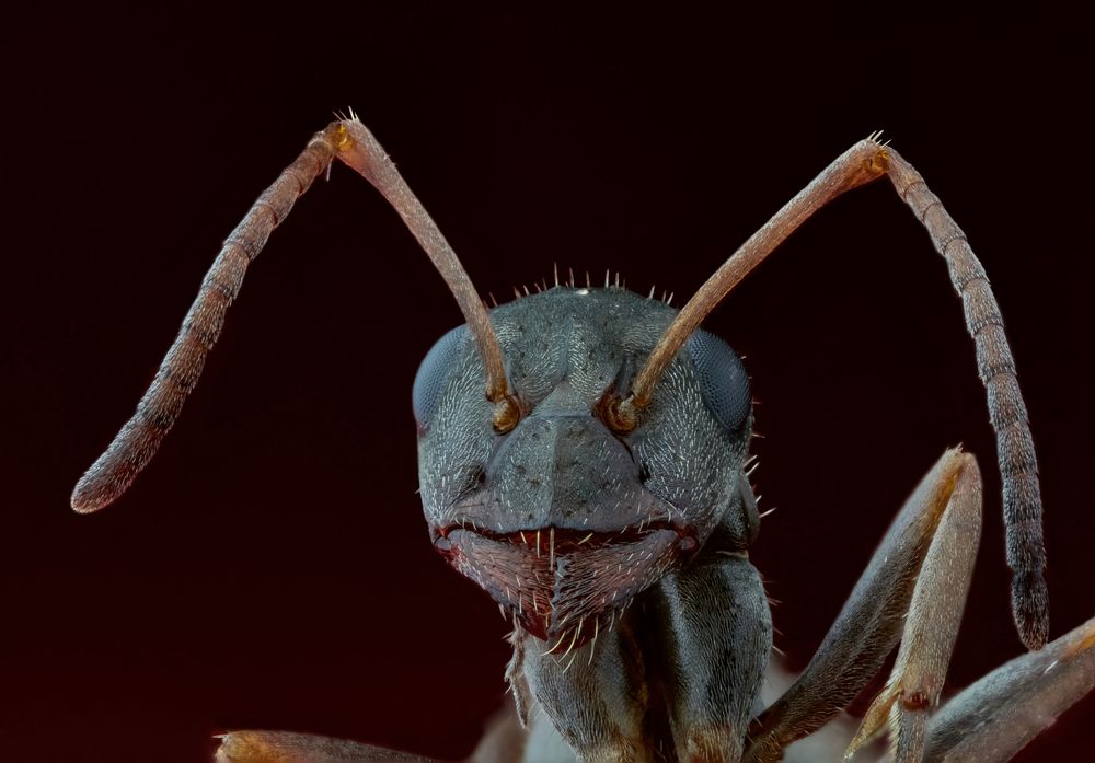 Photograph by Jevgenija Sepeliova