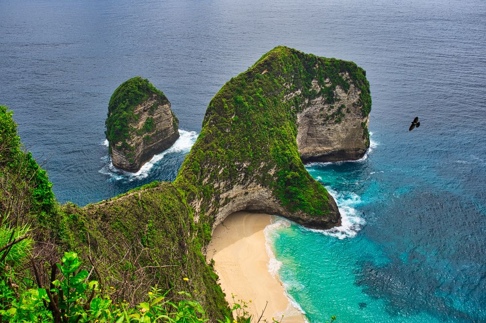 Kelingking Beach and flying eagle