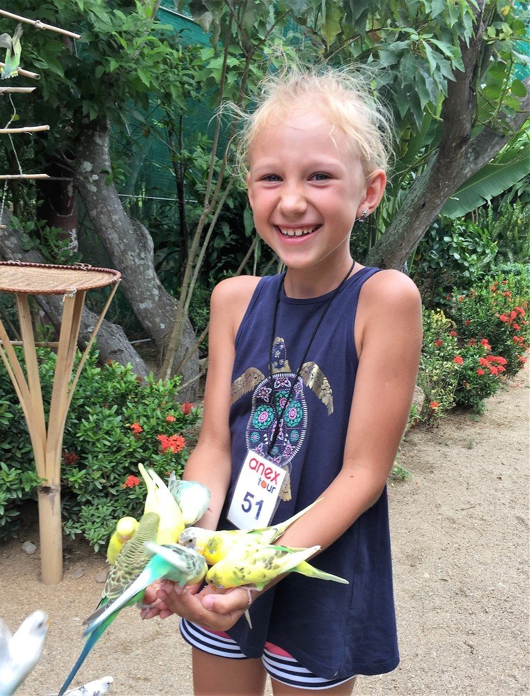 Попугайчики