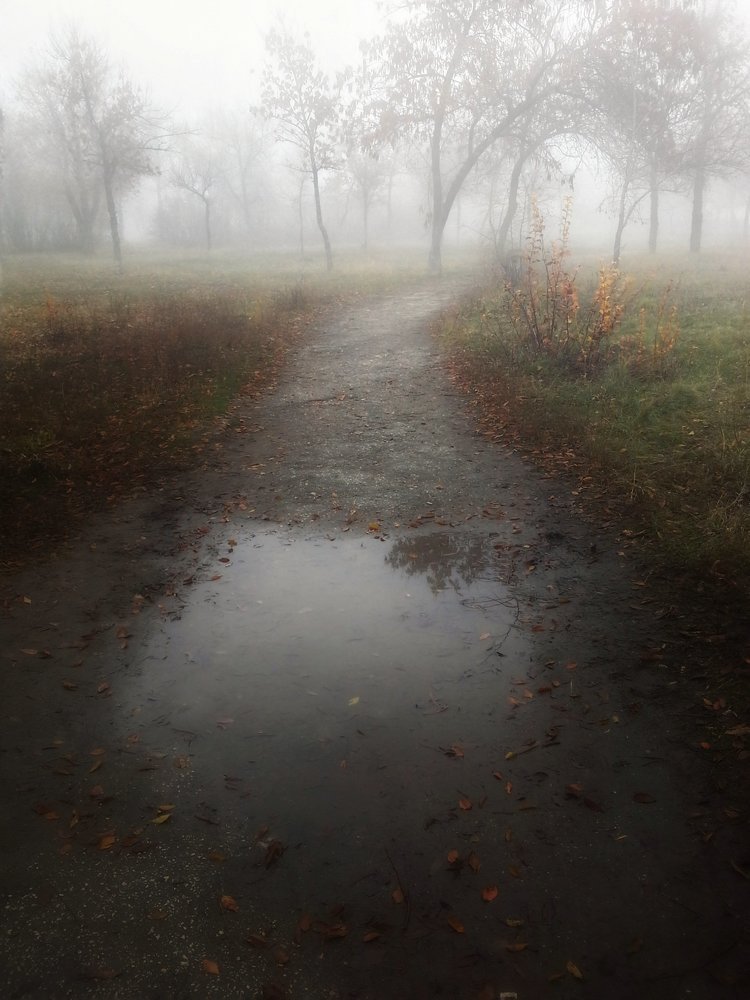 Photograph by Людмила М