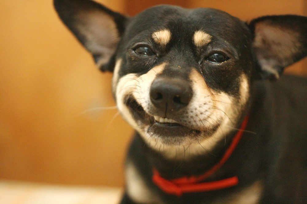 When I see you Smile