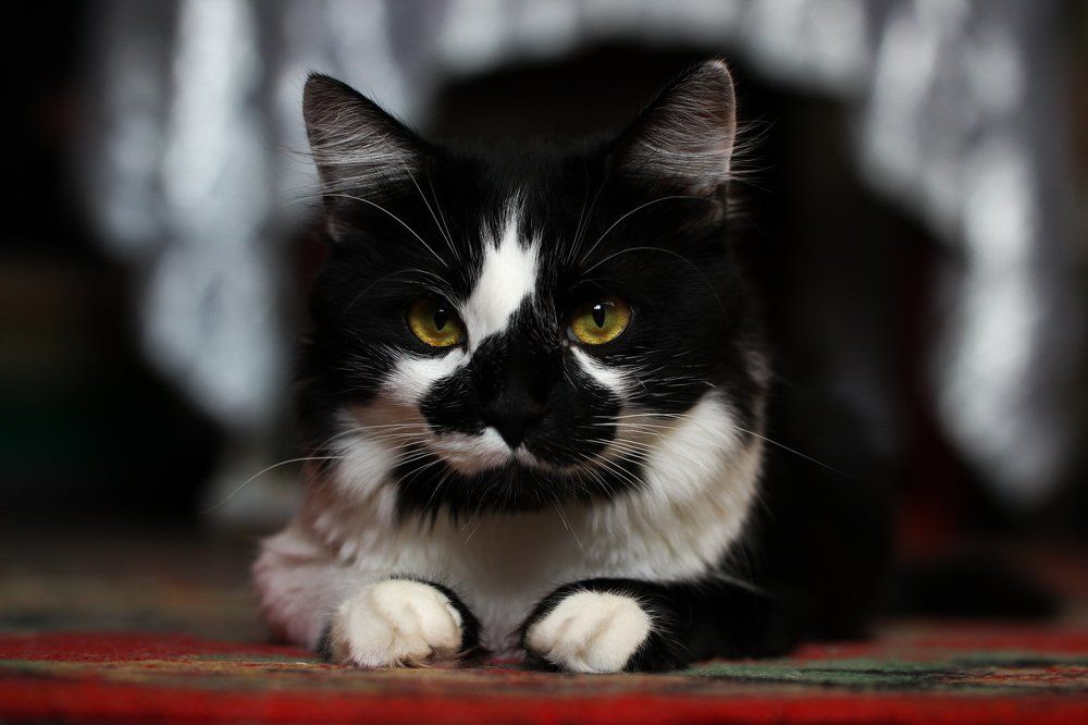 Взгляд в душу