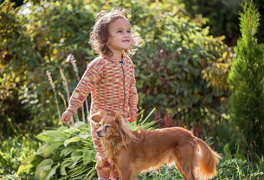 Девочка и ее рыжий друг