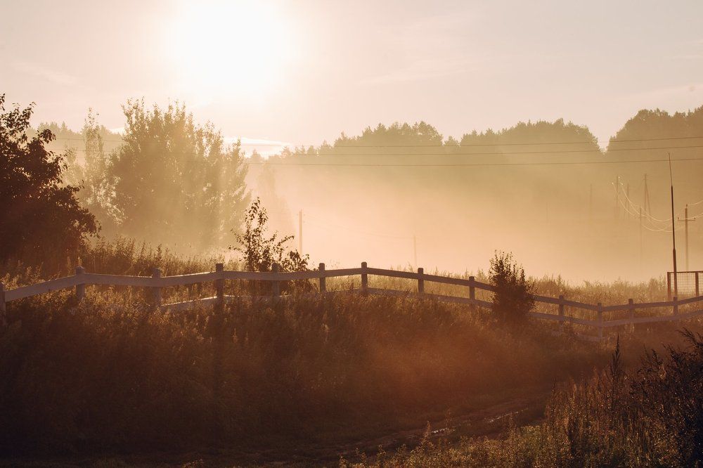 Photograph by Луговская Анастасия