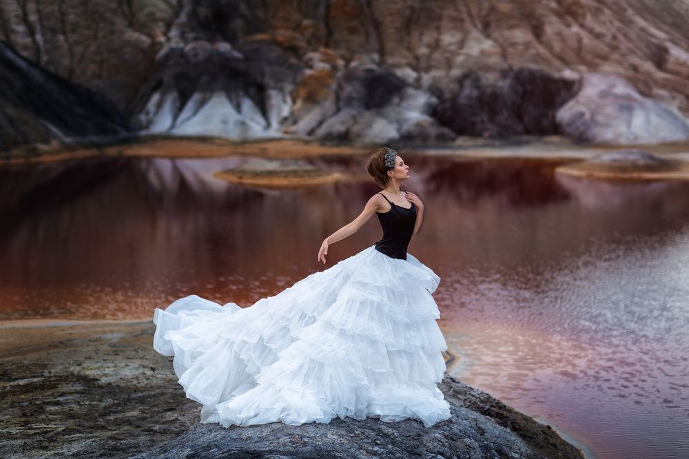 Черный лебедь