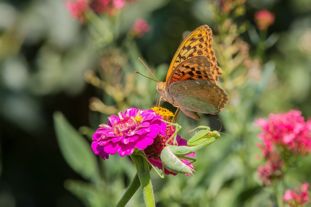 Оглянись вокруг себя: не сожрал ли кто тебя?
