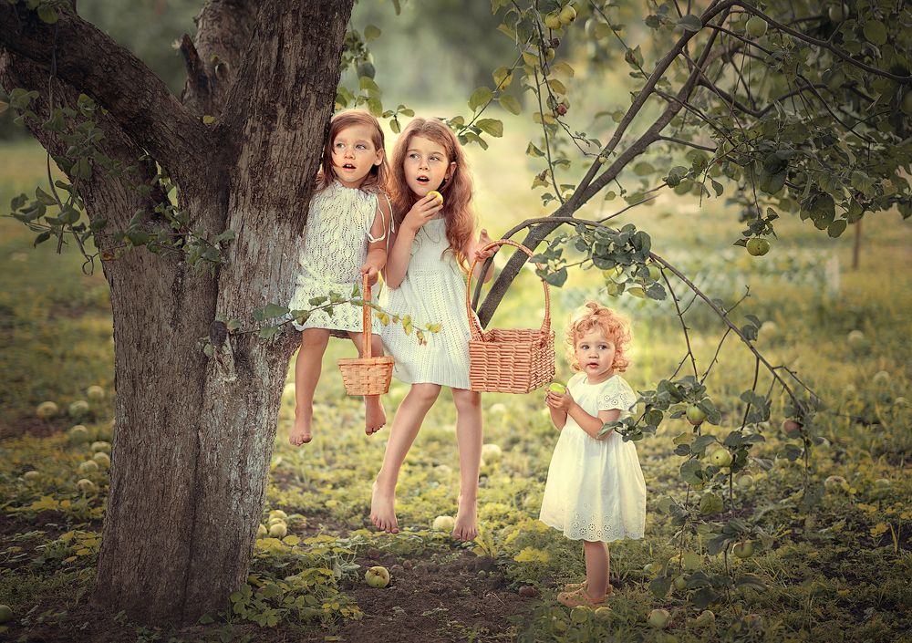 Три грации на сборе урожая