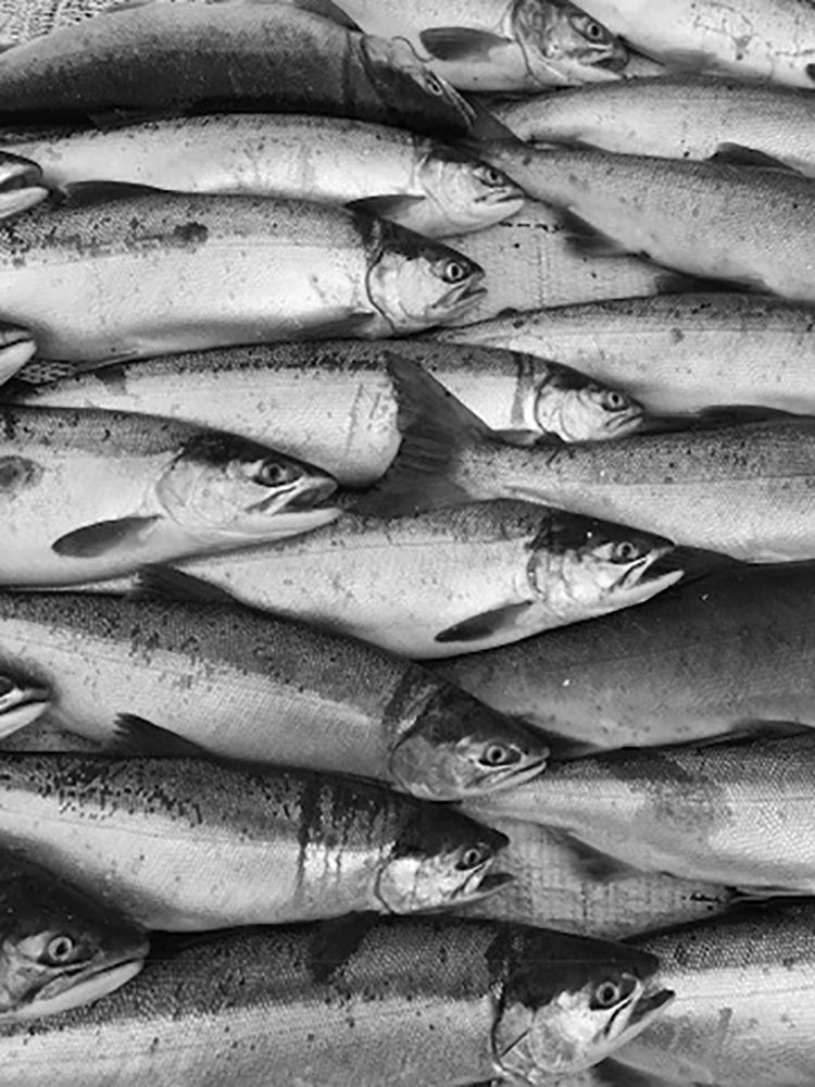 Стремление