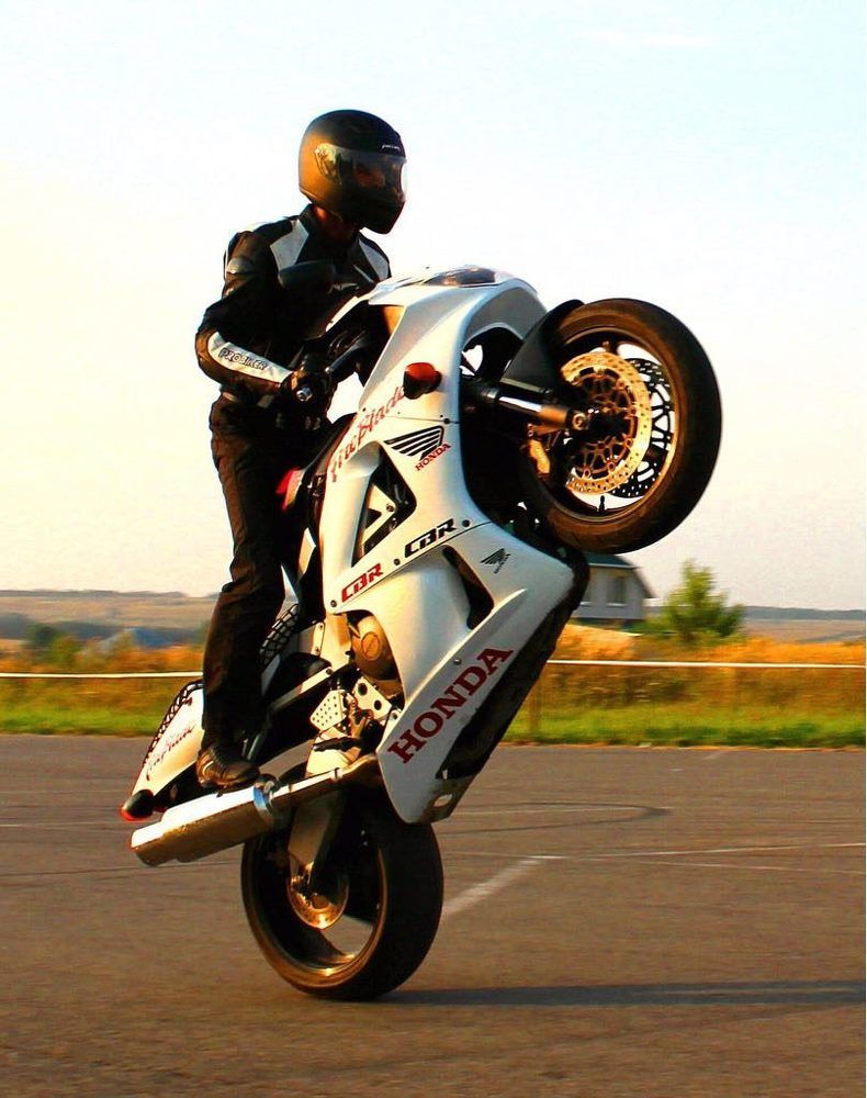 Встал на дыбы..