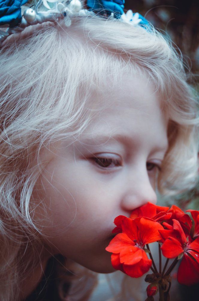 Аленький цветочек