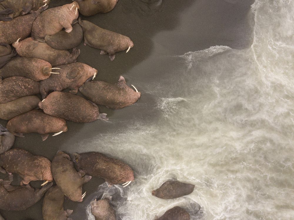 Безмятежность