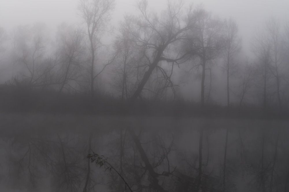 речной туман