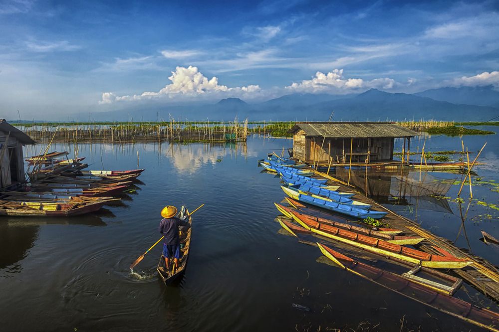 Go fishing in swamph