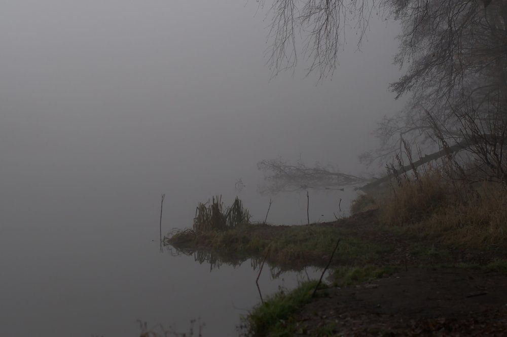 Осенние прогулки ..