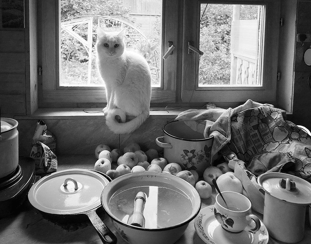 Дежурный по кухне