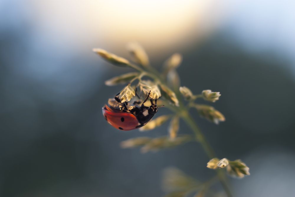 Вверх тормашками
