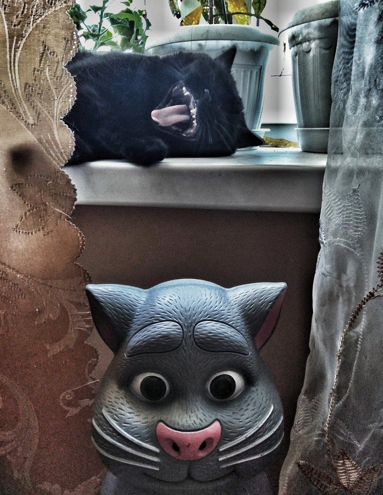 Photograph by Вячеслав Бондаренко